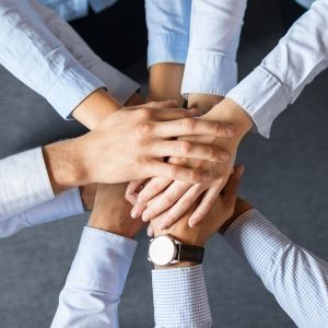 Teambuilding und Teamcoaching