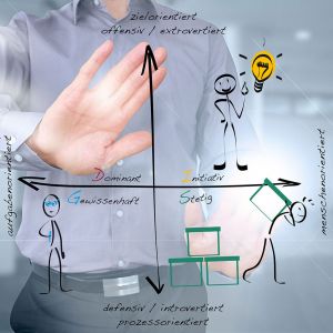 Schulung / Teamworkshop zur typengerechten Kommunikation